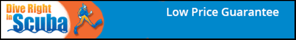 Dive Right In Scuba