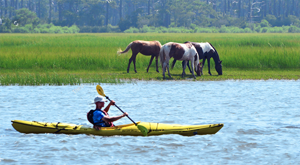 heck yeah outdoors - assateague island 