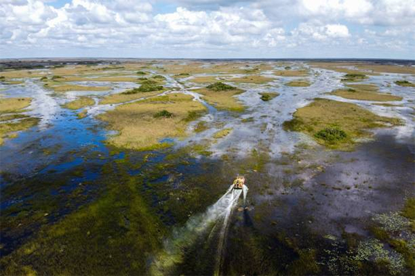 heck yeah outdoors - everglades