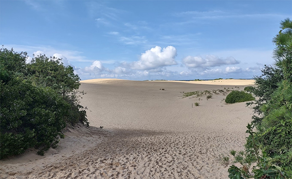 heck yeah outdoors - outer banks