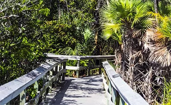 heck yeah outdoors - everglades national park