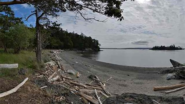 heck yeah outdoors - san juan islands