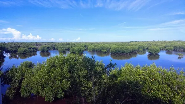 heck yeah outdoors - everglades national park