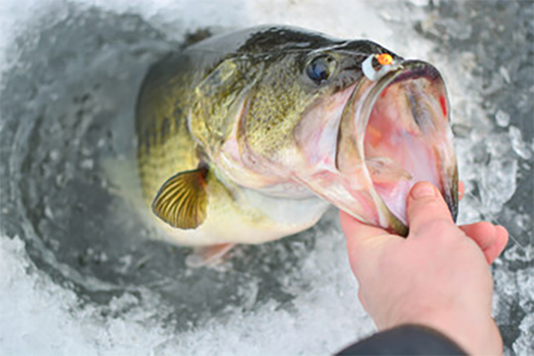 heck yeah outdoors - ice fishing lake of the woods, minnesota