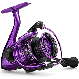 spinning reel