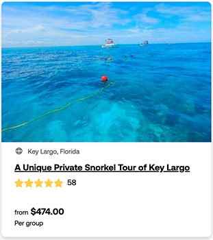 heck yeah outdoors - best snorkeling florida keys