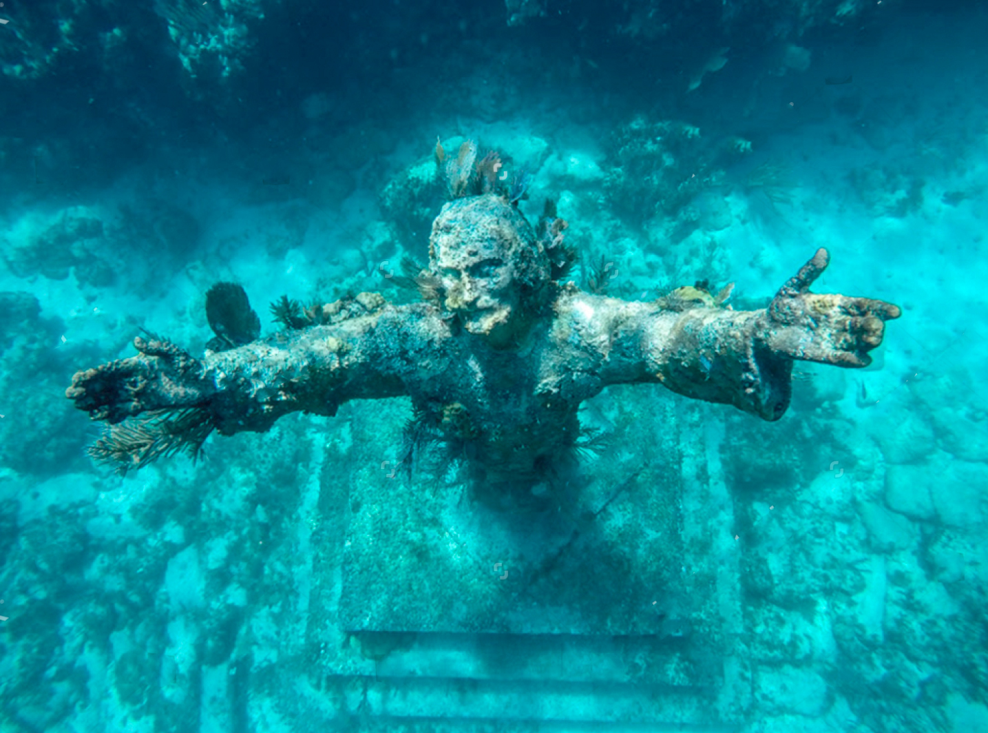 heck yeah outdoors - best snorkeling florida keys