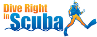 Dive right in logo