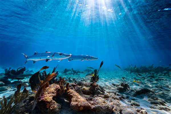 heck yeah outdoors - best snorkeling florida keys