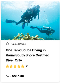 heck yeah outdoors - best scuba diving in hawaii