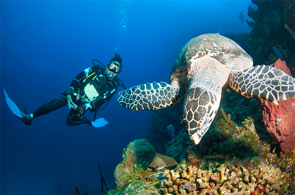 heck yeah outdoors - roatan scuba diving