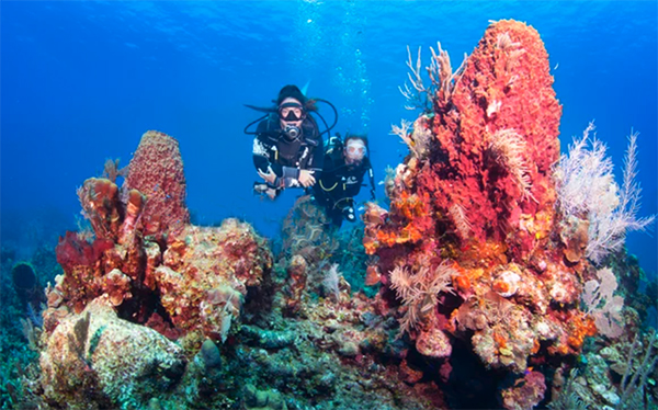 heck yeah outdoors - roatan scuba diving