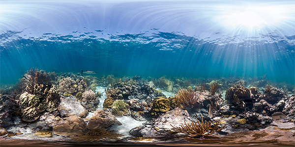 heck yeah outdoors - best snorkeling florida keys