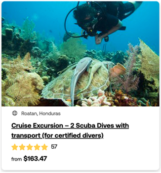 heck yeah outdoors - roatan scuba diving