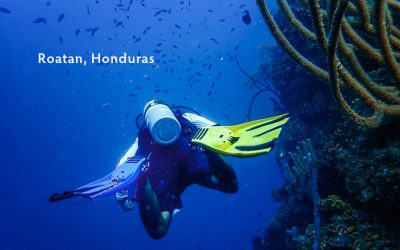 Roatan Scuba Diving: Exploring Roatan’s Underwater Beauty