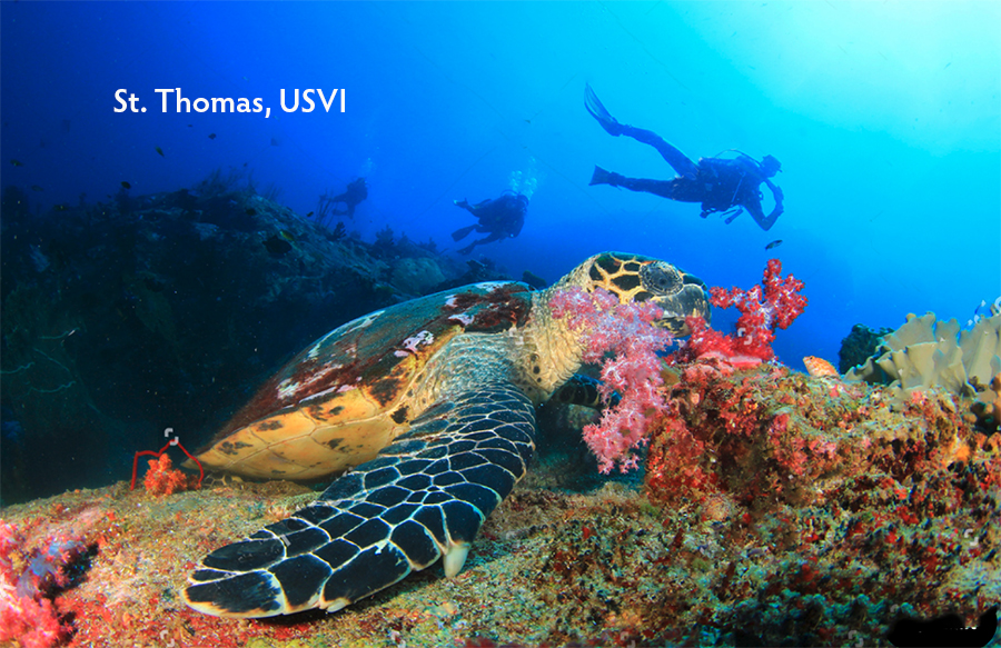 heck yeah outdoors - scuba diving st. thomas