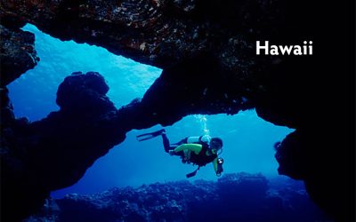 Best Scuba Diving In Hawaii: Your Complete Guide To Paradise