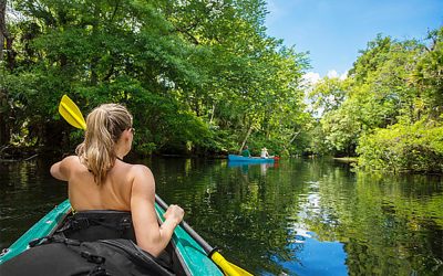 Kayaking Sarasota: The Ultimate Guide To Exploring Paradise