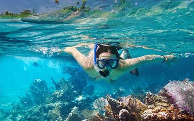 Best Snorkeling Florida Keys: Dive into Paradise with These Top Spots