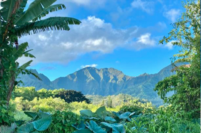 heck yeah outdoors - best scuba diving in hawaii