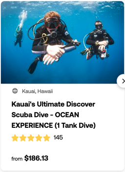 heck yeah outdoors - best scuba diving in hawaii