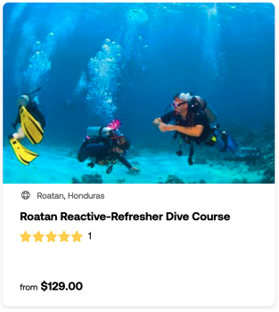 heck yeah outdoors - roatan scuba diving