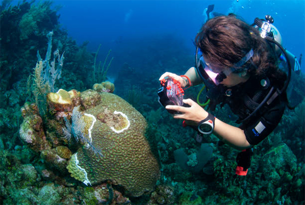 heck yeah outdoors - roatan scuba diving