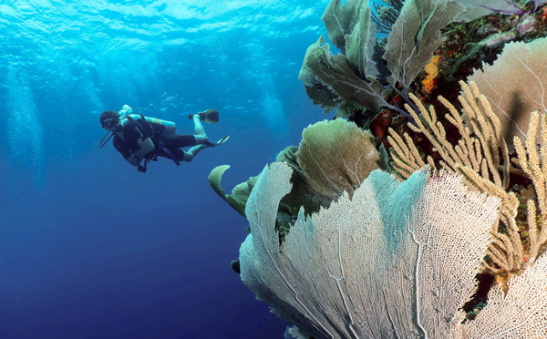 heck yeah outdoors - roatan scuba diving