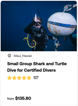 heck yeah outdoors - best scuba diving in hawaii