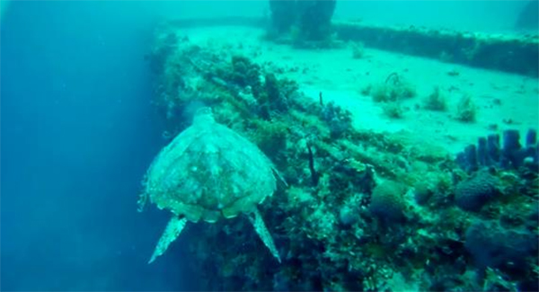 heck yeah outdoors - scuba diving st. thomas