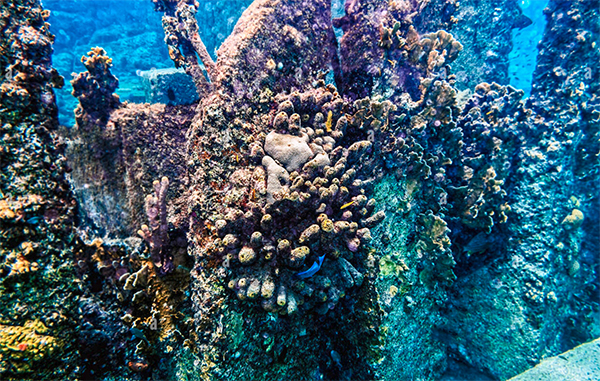 heck yeah outdoors - bonaire snorkeling