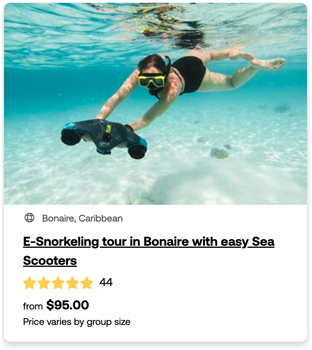 heck yeah outdoors - bonaire snorkeling