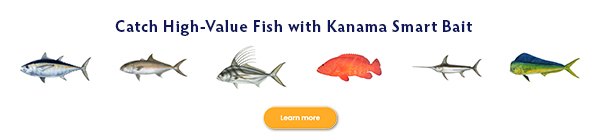 Kanama banner2 600 3