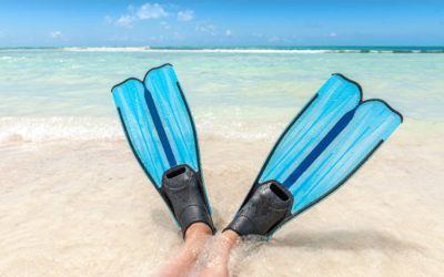 11 Best Snorkeling Fins: The Complete Guide To Choosing The Perfect Pair