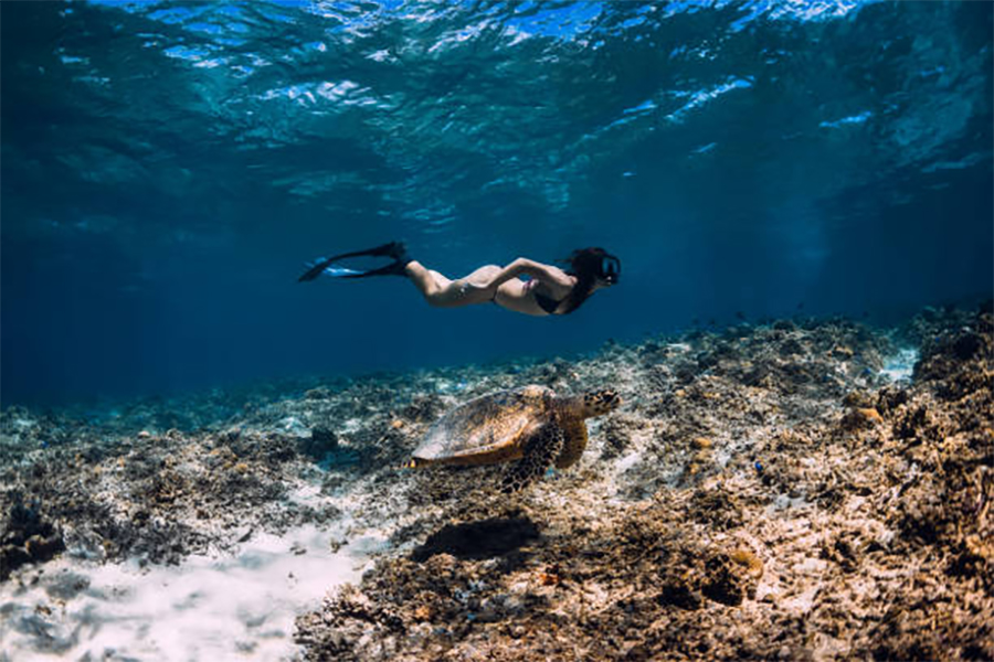 Best Snorkeling In Oahu: Discover the Ultimate Underwater Adventure