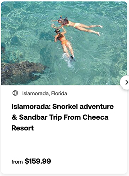 heck yeah outdoors - best snorkeling florida keys