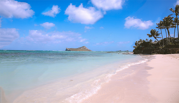 heck yeah outdoors - best snorkeling in oahu