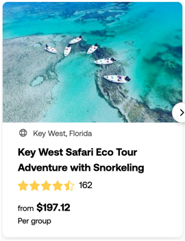 heck yeah outdoors - best snorkeling florida keys