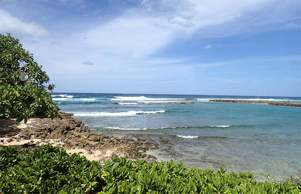 heck yeah outdoors - best snorkeling in oahu