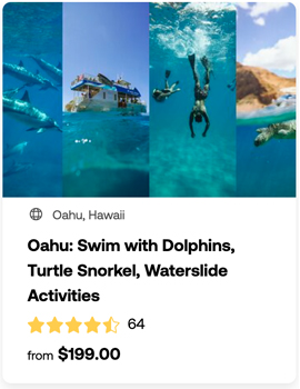 heck yeah outdoors - best snorkeling in oahu