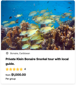 heck yeah outdoors - bonaire snorkeling