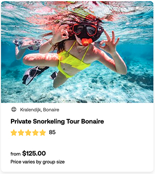 heck yeah outdoors - bonaire snorkeling