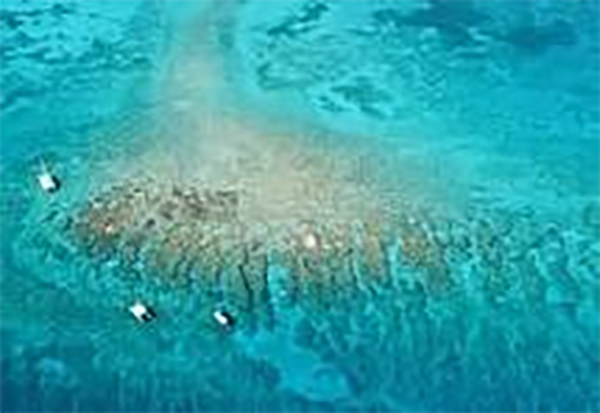 heck yeah outdoors - best snorkeling florida keys