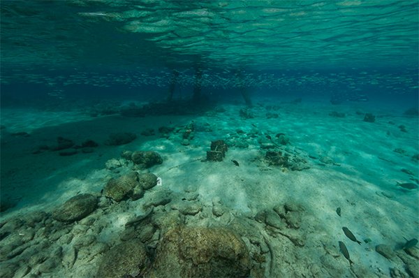 heck yeah outdoors - bonaire snorkeling