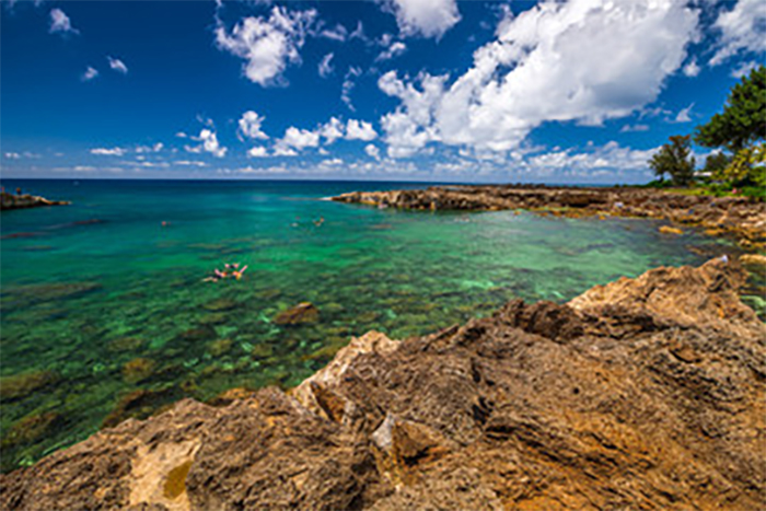 heck yeah outdoors - best snorkeling in oahu