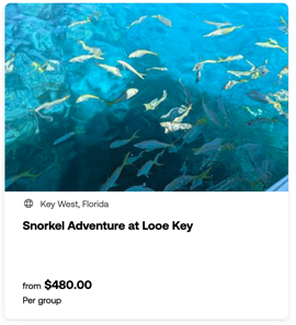 heck yeah outdoors - best snorkeling florida keys