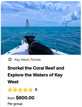 heck yeah outdoors - best snorkeling florida keys