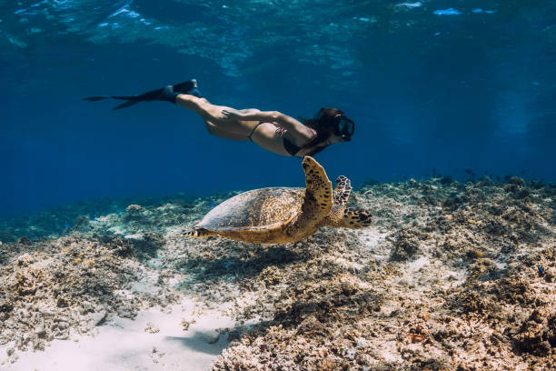 heck yeah outdoors - best snorkeling in oahu