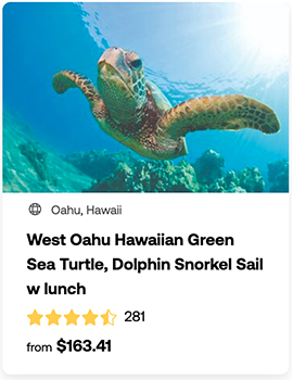 heck yeah outdoors - best snorkeling in oahu